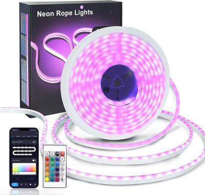 China Customized Contemporary Smart Service 10m RGBIC 24V App Control Music Sync Color Changing LED Neon Light Flex Rope Strip For Indoor Decor for sale