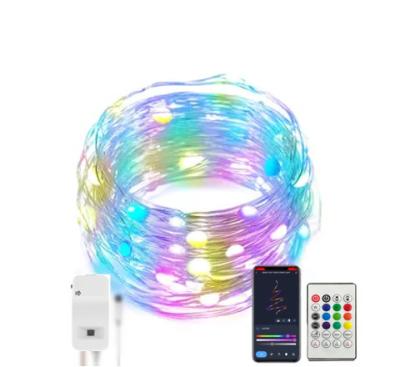 China Contemporary Hot Selling Copper Wire Remote Control Programmable Smart String APP LED RGBIC Electric Fairy Lights with USB Cable for Spirit Tree for sale