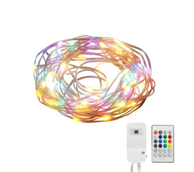 China Contemporary Direct Remote Control Smart Christmas LED APP Decoration RGBIC Tuya Fairy String Lights With USB Cable for sale