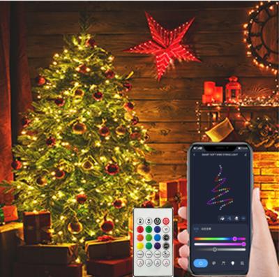 China Contemporary Clean Machining RGBIC Smartphone Control Smart LED String Fairy Lights with USB Cable for Christmas Decoration for sale