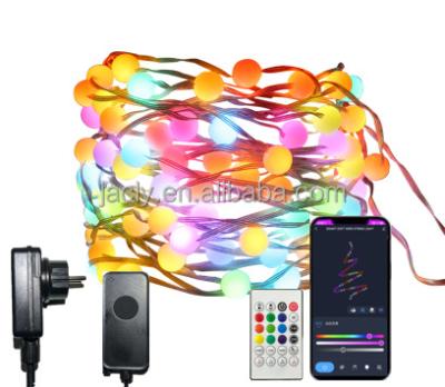 China Contemporary Programmable Color Changing IR Remote Controller LED Globe Fairy Lights with Outdoor Waterproof Adapter for Christmas Tree for sale