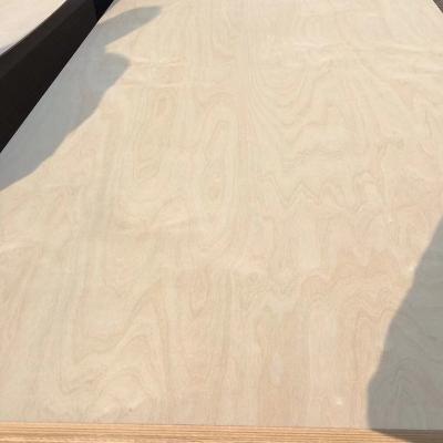 China Modern BIRCH PLYWOOD FOR DUBAI MARKET for sale