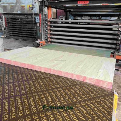 China Farm 18MM PHENOLIC GLUE DYNEA BROWN FILM PLYWOOD FACED for sale