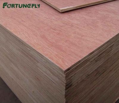 China MODERN COMMERCIAL PLYWOOD With Factory Direct Sale High Quality Bintangor Plywood for sale