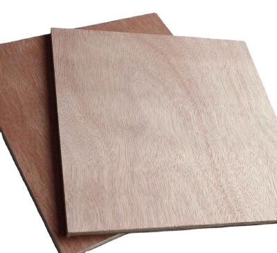 China Modern COMMERCIAL PLYWOOD Hot Selling in the Middle East Bintangor Plywood for sale