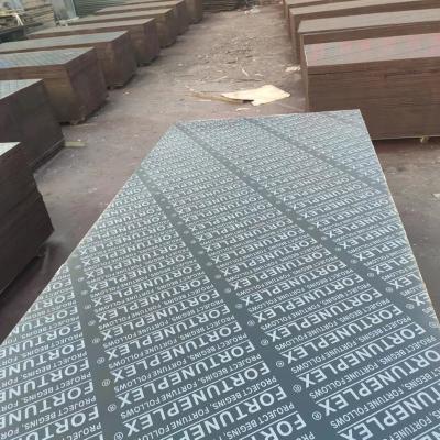 China Versatile 4x8 Film Faced Plywood For Construction Hot Sale Chinese Film Faced Plywood for sale