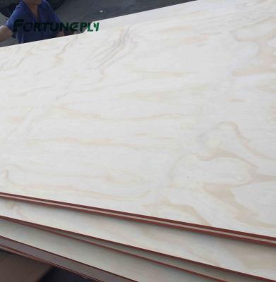 China Modern CD PINE WOOD PLYWOOD 18MM TO SOUTH AMERICAN MARKET for sale