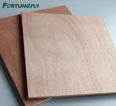 China Shandong FortuneBM Eclectic Hot-selling Commercial Plywood Poplar Plywood for sale