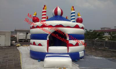 China birthday party cake inflatable bouncer house for sale