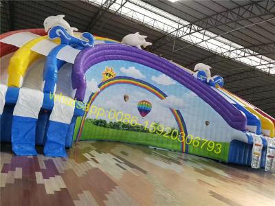 China rainbow giant water slide with pool for sale