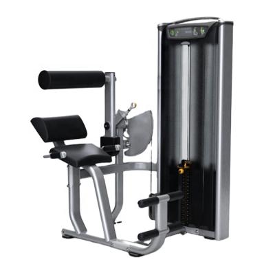 China Commercial Cheap Price Gym Equipment Commercial Machine Back Extension for sale