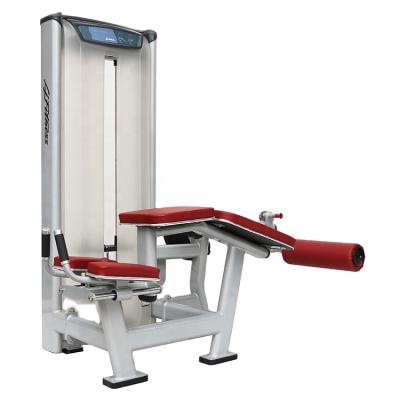 China Equipment Trade Names Gym Commercial Frame Prone Product Sports Leg Curl Machine for sale