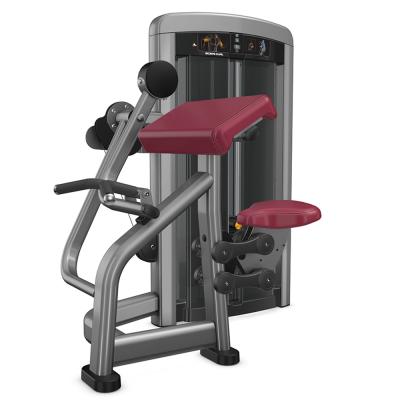 China New Design Heavy Duty Commercial Perfect Seated Bicep Curl Sports Fitness Equipment For Sale for sale