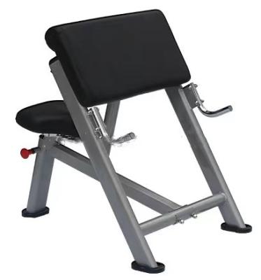 China High Quality Commercial Fitness Equipment Gym Weight Arm Loop Bench Free Standing Biceps Bench for sale