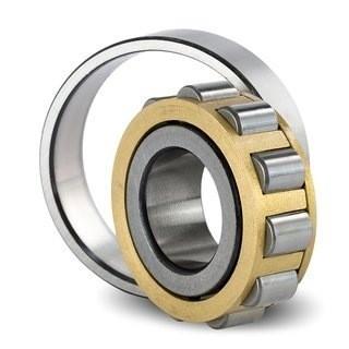 China CPM 2181 Cement Mixer Truck Bearings 18x30.52x13mm Full Complement Roller Bearing for sale