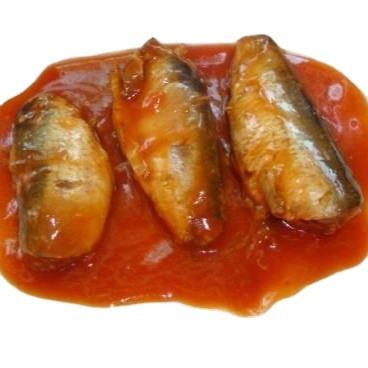 China 2021 Hot Selling FUJIAN Seafood Canned Mackerel Canned Fish Canned Fish Canned Sardine Fish In Tomato Sauce 125g /155g /425g for sale