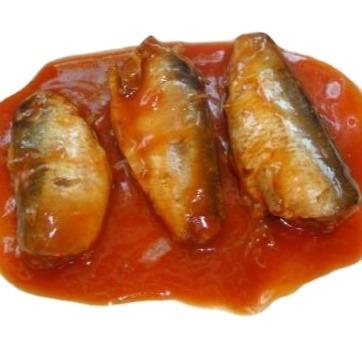 China Good quality new arrivals factory sale canned mackerel various canned fish canned sardine fish in canned sardines 125g tomato sauce for sale