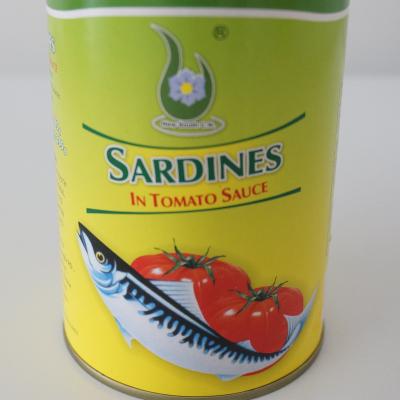 China Hot Selling Professional Manufacture Canned Fish Canned Seafood Canned Sardine In Tomato Sauce 125g/155g/425g for sale