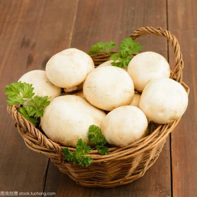 China Whole Canned Food Canned Healthy Mushroom For Supermarket / Wholesale for sale