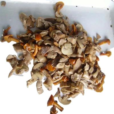 China Canned Corp. 2022 Newest Canned Food Wholesome Mixed Mushroom Wholes. in brine for supermarket/wholesale for sale