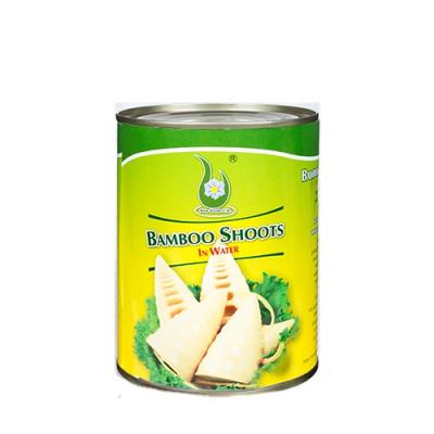 China New Type Canned Good Quality Professional Various Canned Vegetables Canned Bamboo Shoots In Halves In Brine 567G for sale