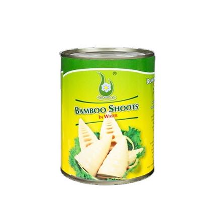 China 2021 Good Quality Factory Canned Hot Sale Special Various Canned Vegetables Canned Bamboo Shoots Strips 567g for sale