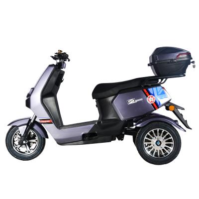 China New Style Tricycles 1000W 3 Wheel Salable Electric Motorcycle Electric Scooter For Adults 30AH-40ah for sale