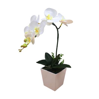 China Led Lighting 3D Real Touch PU Artificial Flower Home Decoration Orchid Moth Flower Gift White Led Orchid Lighted Mother's Day for sale