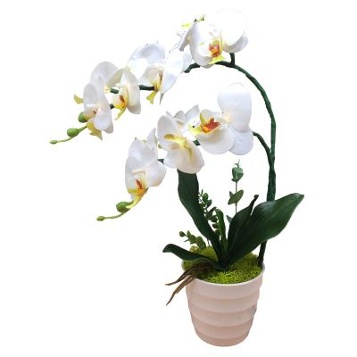 China Led Lighting Moth Orchid Home Decoration 3D Touch Real PU Artificial Flower White Orchid With White LED Light for sale