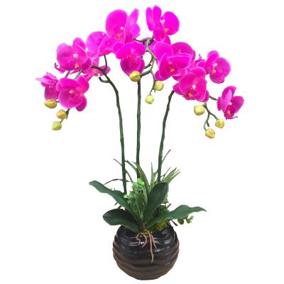 China Color Changing Real Pretty New Large Home Decor Touch PU Artificial Flower Moth Orchid With Warm White LED Bead ODM Support for sale