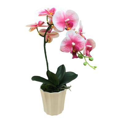 China 2022 Newest Lighting Decoration Real Touch 3D PVC Artificial Flower Led Rose Moth Orchid With White LED Light Wholesale Price for sale