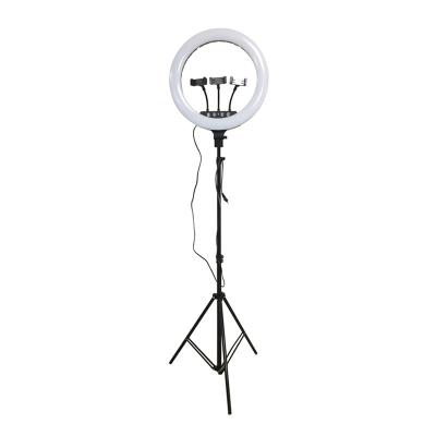 China 2021 Brightness Circle LED Light Dimmable Live Broadcasting Premium Lighting Tripod Stand Adjustable With Photographic Selfie Three Led Ring Light for sale