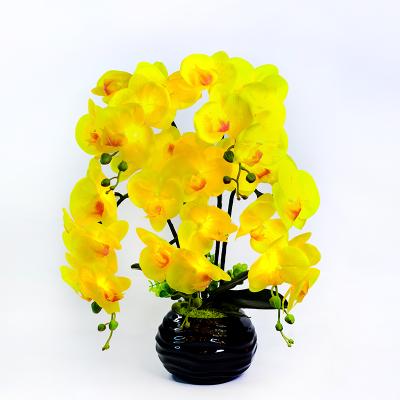 China Color Changing Real Home Decor Large Touch PU Artificial Flower Moth Orchid With Warm White LED Bead ODM Support for sale