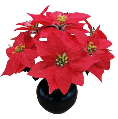 China Christmas LED Fiber Optic Poinsettia Flowers Lamp Indoor Use Red Fiber Optic Flower Lamp (6pcs Flower)/LED For Home Decoration for sale