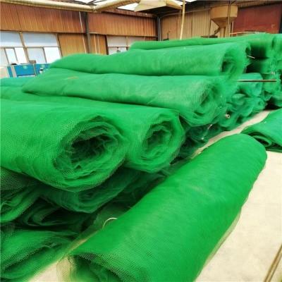 China 50m Normal Length CE/ISO9001/ISO14001 Certified 3d Geomat Plastic Mesh for Vegetation Protection for sale