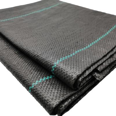 China UV Treated Black Ground Cover Geotextile for Driveway Fabric Underlayment Width 1-6m for sale