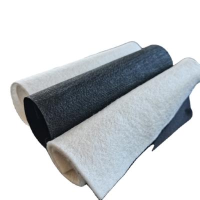 China Polyester PP Membrane Geotextile Filter Fabric for Earthwork Products After-sale Service for sale