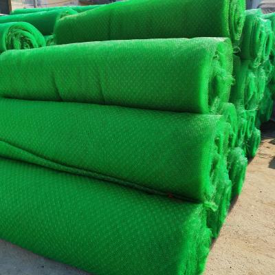 China Chinese Design 3D HDPE Geomat Erosion Control Mat for Slope Protection Em2 Em3 Em4 Em5 for sale