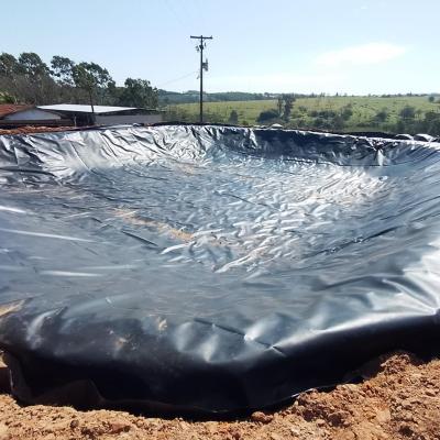 China Contemporary Farmhouse 0.5mm HDPE Geomembrane Liner Sheet for Fish Farming Pond Liner for sale