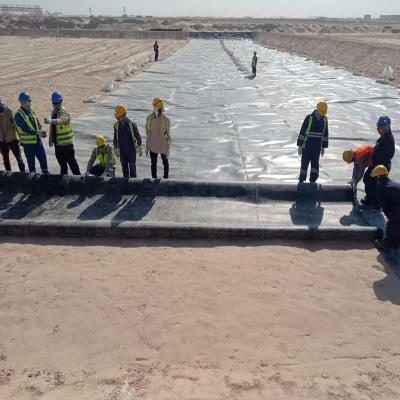 Китай 100% необработанный HDPE LLDPE 1mm 2mm HDPE Geomembrane Liner для полигона культуры рыбных прудов продается