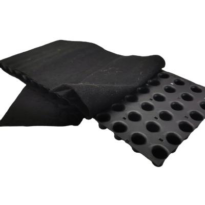 Κίνα 8mm HDPE PP Virgin Recycle Drainage Board για την κατασκευή υπόγειων δομών στάθμευσης προς πώληση