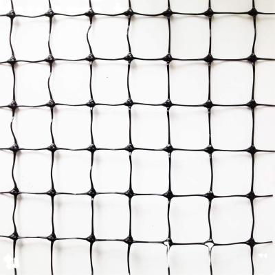 China 1.5cm Malha 50gm PP Jardim Extrudido UV Bloqueado Plástico Agricultura Anti Mole Net Roll à venda