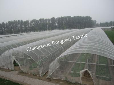 Chine Fabrication transparente stabilisée UV de garde de grêle de 50 GM/M pour protéger des fruits à vendre