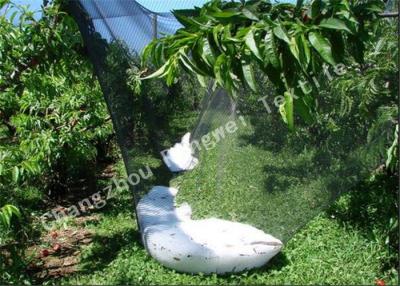 China Berufsplastikantihagel-Filetarbeit für Obstbaum-Schatten fängt die multi besonders angefertigte Farbe zu verkaufen