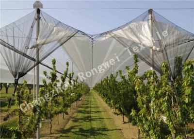 China Red estabilizada ULTRAVIOLETA del Anti-saludo de la agricultura con el tamaño de malla 3m m x 7m m 55g por metro cuadrado en venta