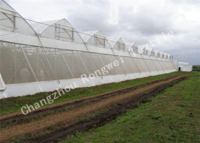 China High Density Polyethylene Anti-insect Net for Green House Agriculture Use , UV Resistant for sale