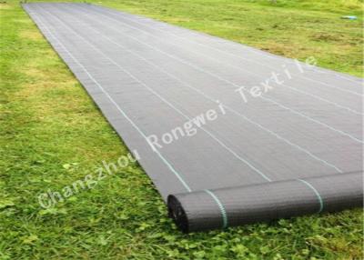 China Heavy Duty Weed Control Fabric 100gsm Plastic Agricultural Weed Control Matting for sale