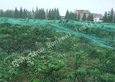 China Rede de confecção de malhas do Anti-pássaro do HDPE da proteção de frutos/plantas, rede do pássaro da malha do hexágono para colheitas à venda