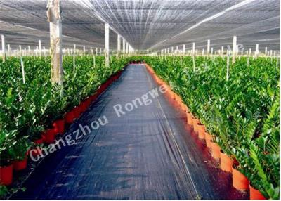 China Landscape / Garden Weed Control Membrane / Fabric Ground Cover Lining Mat for Greenhouse for sale