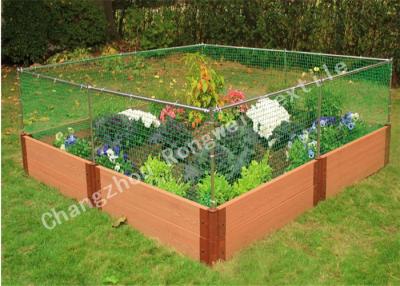 Chine fabrication de barrière de jardin de vert de maille d'Anti-oiseau pour des gardes d'arbre fruitier, fabrication de bloc de cerfs communs de jardinier à vendre